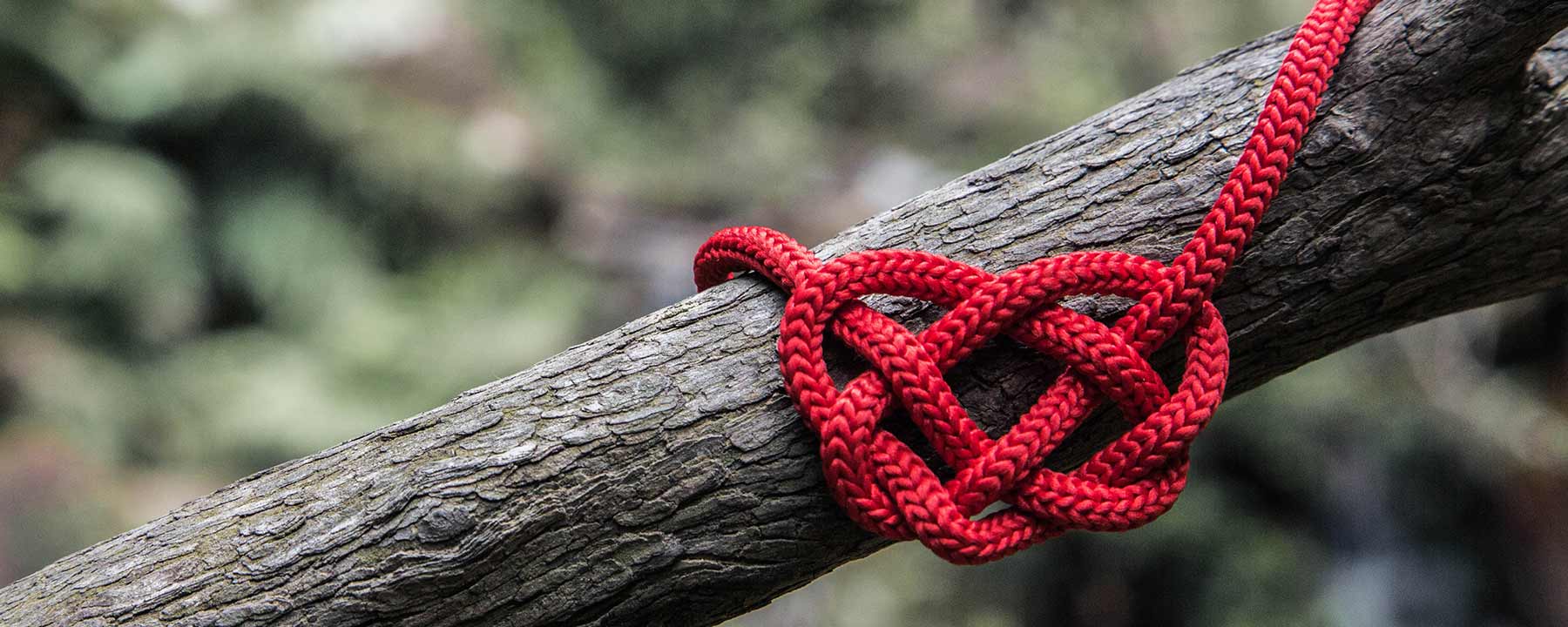 Rotes Seil, um einen dicken Ast gewickelt